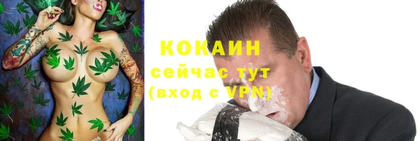 хмурый Абаза