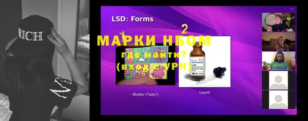 хмурый Абаза