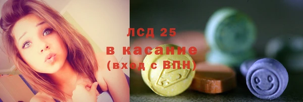 хмурый Абаза