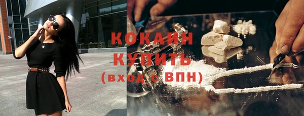 хмурый Абаза