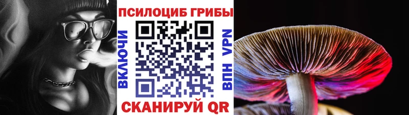 Галлюциногенные грибы MAGIC MUSHROOMS  цены   Тында 