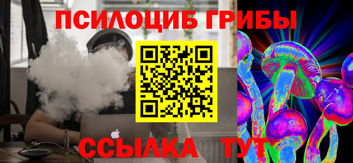 Тында  Галлюциногенные грибы Cubensis  Вход с VPN 