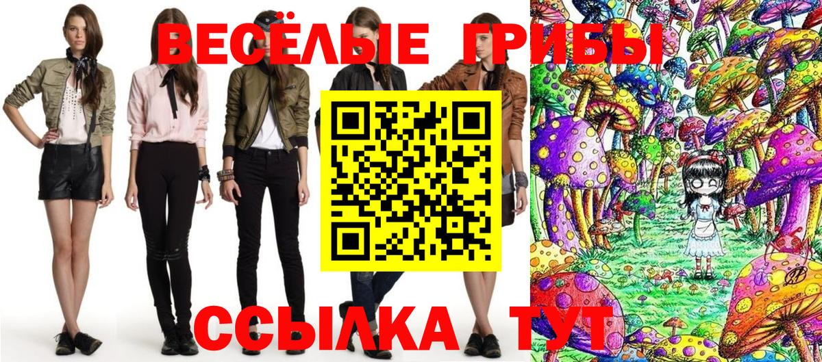 Галлюциногенные грибы Cubensis Тында